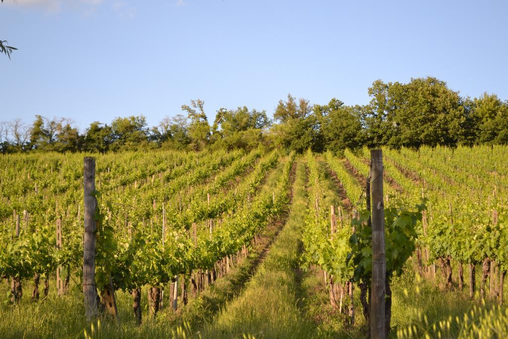 Casale Le Masse Bed & Breakfast